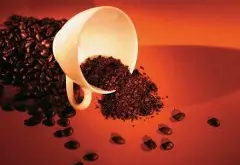 云南普洱咖啡 云南普洱咖啡的种植和烘焙 咖啡与气候的关系是什么