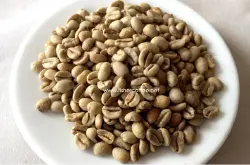 埃塞俄比亚班其玛吉日晒瑰夏 班其马吉咖啡豆产区及处理方法