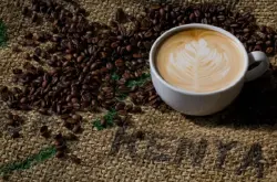 印度尼西亚曼特宁咖啡的主要产地的基本口感 苏门答腊咖啡的介绍