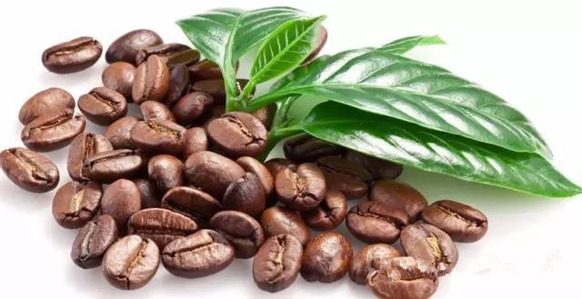 亚洲印度尼西亚的苏门答腊曼特宁精品咖啡豆的口感和产地介绍