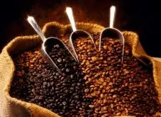 咖啡树在世界各地的分布