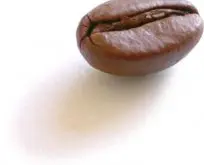 咖啡豆的出油与新鲜度的介绍