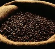卢旺达咖啡收购价格上扬