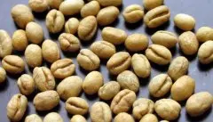 坦桑尼亚PB咖啡生豆/Peaberry圆豆