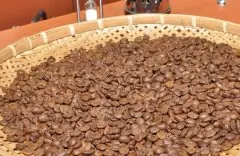埃塞俄比亚yirgacheffe产地耶加雪菲咖啡豆烘焙度手冲风味介绍