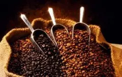 咖啡豆为什么需要烘焙？