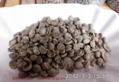 咖啡豆图片 黄金曼特宁生豆 golden mandheling
