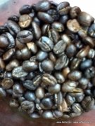老咖啡同学用贝贝一号咖啡烘焙机烘焙的云南咖啡豆