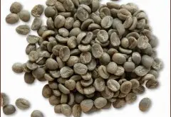 如何挑选咖啡生豆