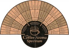 如何分辨咖啡香气特征