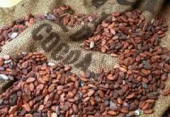 咖啡豆和咖啡粉研磨度的重要性