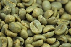 La Minita（拉米妮塔）精品庄园咖啡豆