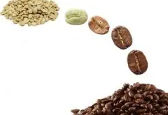 咖啡豆烘焙理论﹙一﹚