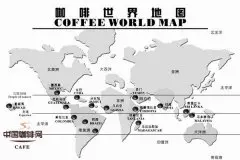 种植咖啡的5个环境因素