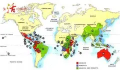 全球咖啡产地地图