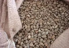 精品单品咖啡豆 印度尼西亚苏拉威西岛咖啡