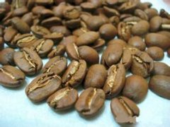 中美洲的特产 精品单品萨尔瓦多咖啡豆
