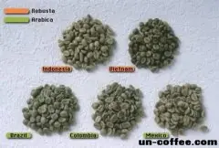 咖啡讲堂：Arabica与Robusta咖啡豆的区别