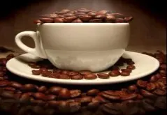 巴西山度士咖啡豆