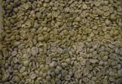 精品咖啡豆推荐 薇薇特南戈萨尔瓦多Injerto庄园咖啡豆