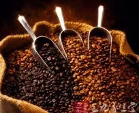 真正意义星巴克 美国咖啡文化的象征(2)
