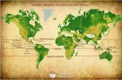 世界咖啡主要产国及其著名的咖啡豆产地