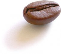 咖啡知识大全 咖啡豆的出油与新鲜度的介绍