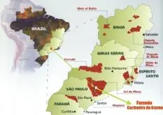 巴西世界最大的咖啡生产国