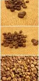 世界精品咖啡产地 尼加拉瓜咖啡豆