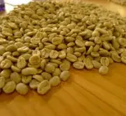 美洲咖啡豆哥伦比亚 原名为“翡翠咖啡”