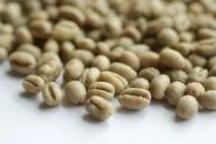 危地马拉最著名的咖啡 薇薇特南果咖啡豆