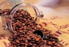 咖啡生豆处理方式介绍 蜜处理法