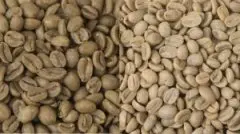咖啡烘焙 咖啡酸味的由来和形成