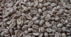 咖啡产地 埃塞俄比亚咖啡简介
