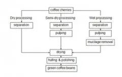咖啡豆 简述咖啡豆的加工过程