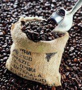 精品咖啡学 精品咖啡豆的10个必备要素