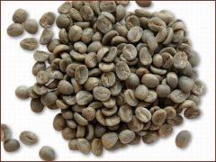 精品咖啡豆 如何挑选咖啡生豆