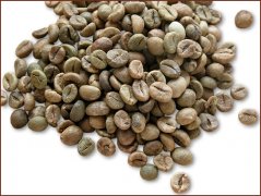 咖啡豆图片 老挝中粒咖啡豆图片