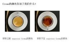 咖啡师培训基础 解析什么是咖啡的Crema