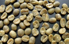 精品咖啡学 云南BM种（蓝山种）咖啡生豆