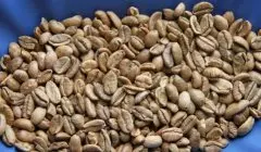 中国海南咖啡豆 利比瑞卡咖啡豆