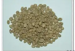 精品咖啡豆 烘焙哥伦比亚顶级绿宝石咖啡豆
