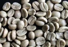 精品咖啡豆推荐 CoE 竞赛优胜咖啡豆