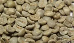 精品咖啡学 图解微距下的咖啡豆