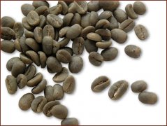 精品咖啡常识 博邦咖啡豆图片欣赏
