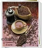 最传统的阿拉伯咖啡品种 阿拉比卡种