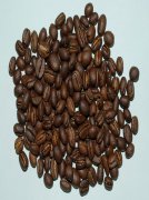 精品咖啡豆烘焙 烘焙刚果几布湖地区PB