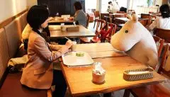 咖啡馆推荐 日本“摆脱孤独”咖啡馆独自用餐不寂寞