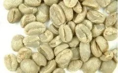 精品咖啡豆推荐 非洲咖啡生豆刚果基伍4/Kivu 4