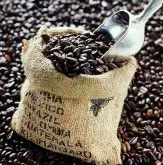 咖啡基础常识 精品咖啡豆的10个必备要素